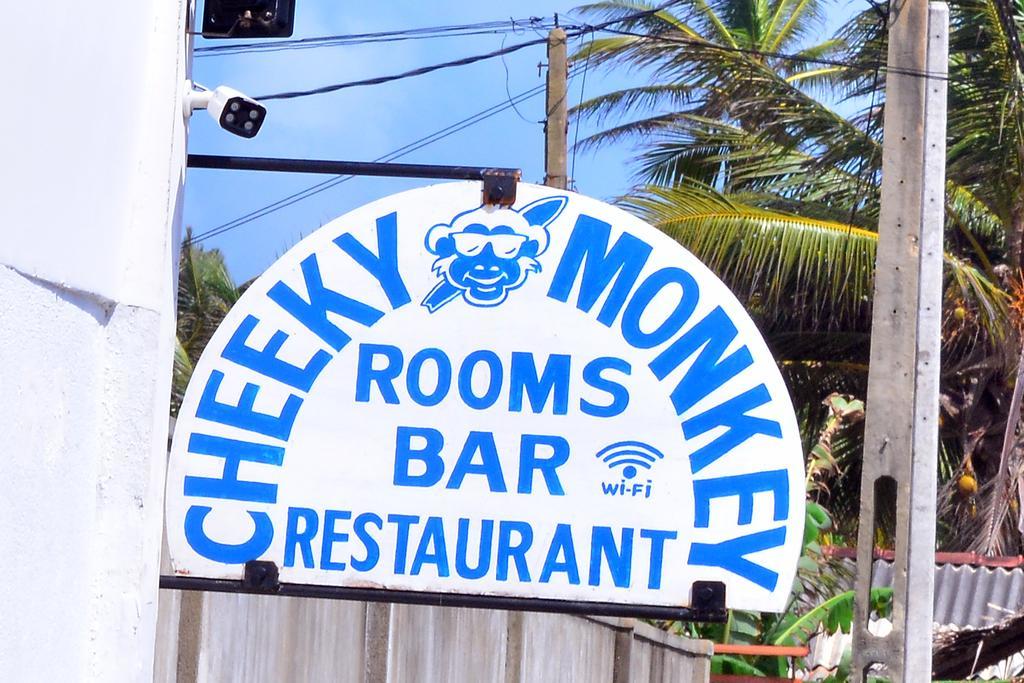 Cheeky Monkey Surf Camp Hotel Weligama Exterior photo